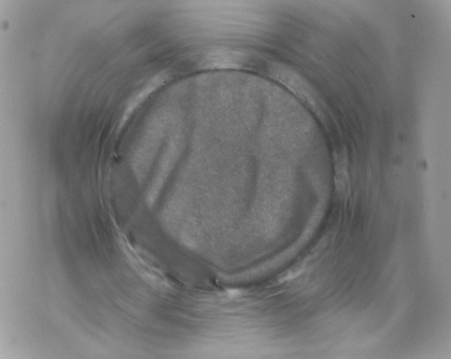 X0000070410386200607072314