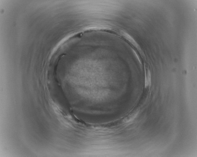 X0000070410387200607072314