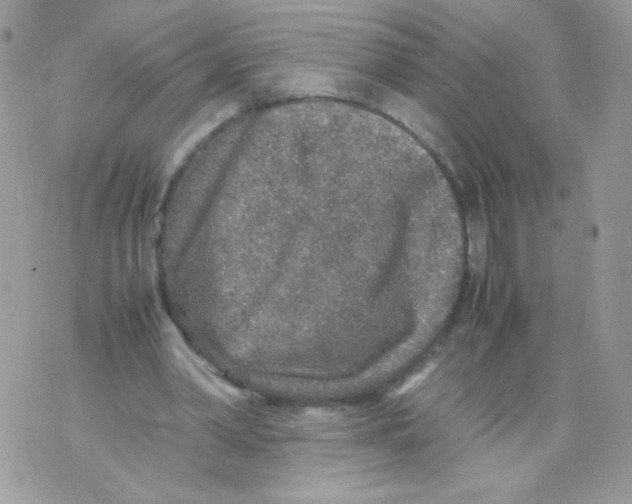 X0000070410390200607072314