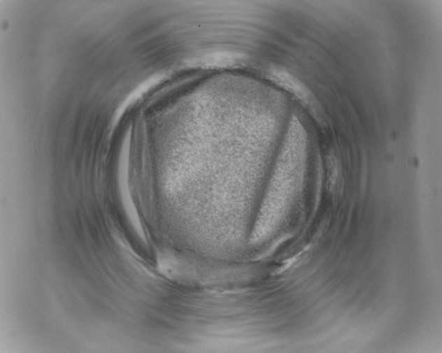 X0000070410392200607072314