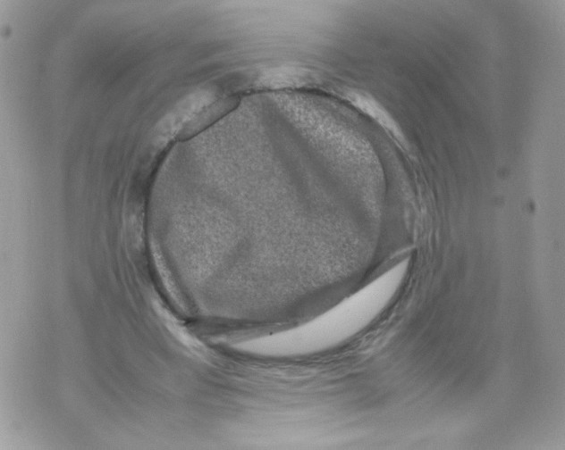 X0000070410393200607072314