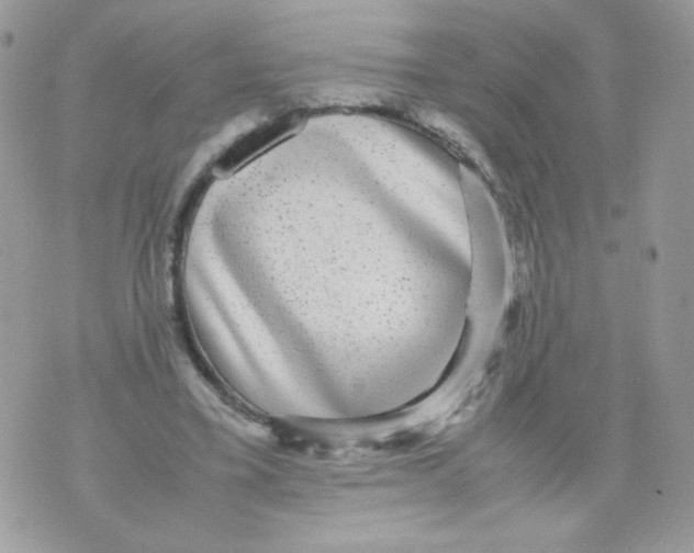 X0000070410395200607072314