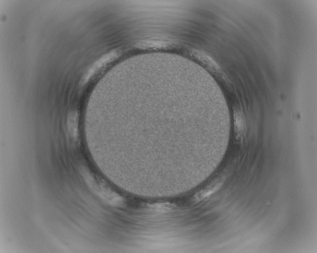 X0000070410396200607072314