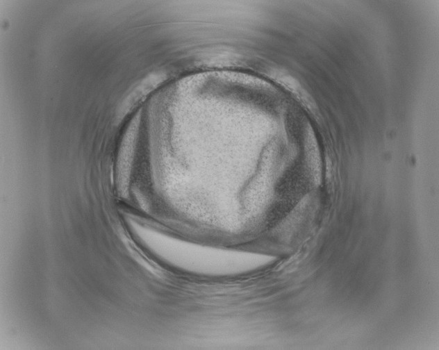 X0000070410397200607072314