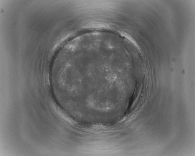 X0000070410399200607072314