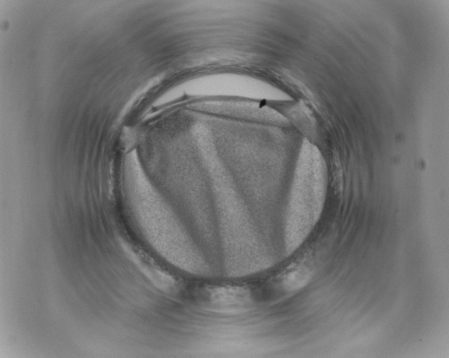 X0000070410400200607072314