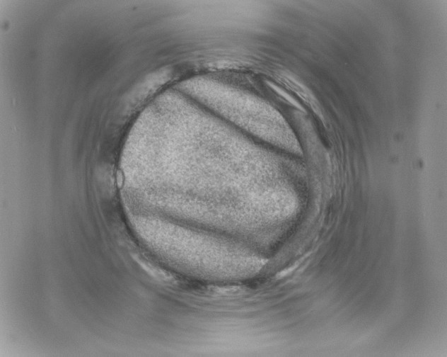 X0000070410401200607072314