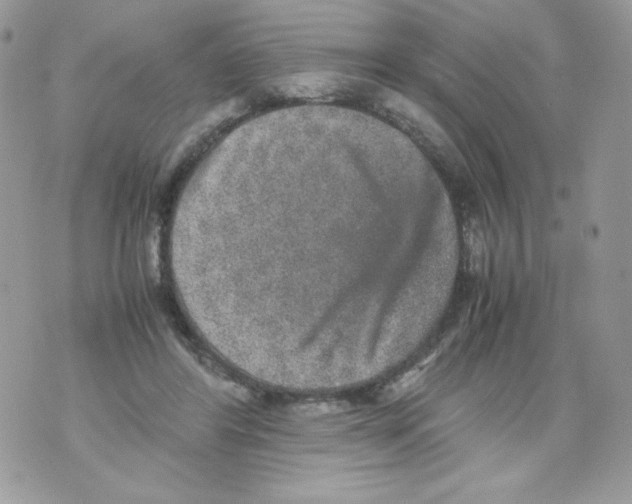 X0000070410404200607072314