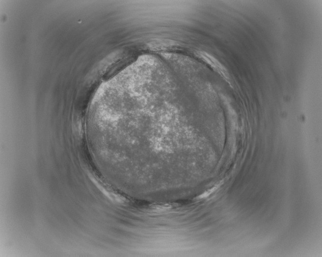 X0000070410405200607072314