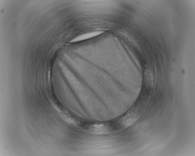 X0000070410406200607072314