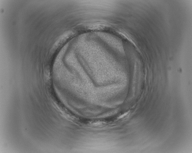 X0000070410407200607072314