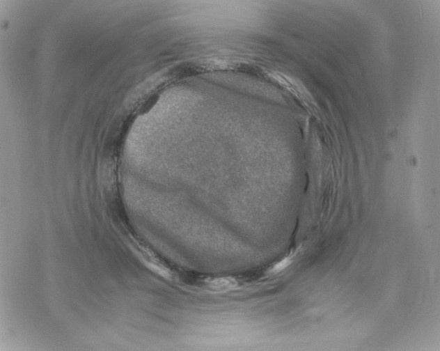 X0000070410409200607072314