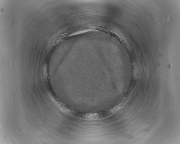 X0000070410410200607072314