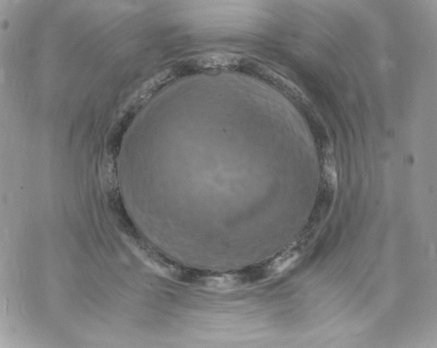 X0000070410411200607072314