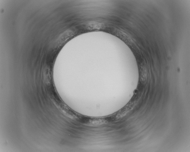 X0000070410414200607072314