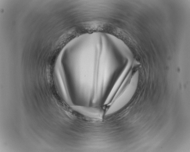 X0000070410416200607072314