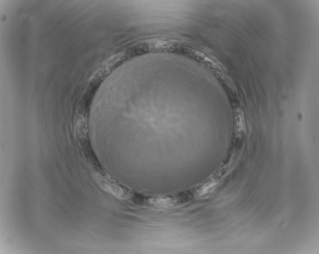 X0000070410419200607072314