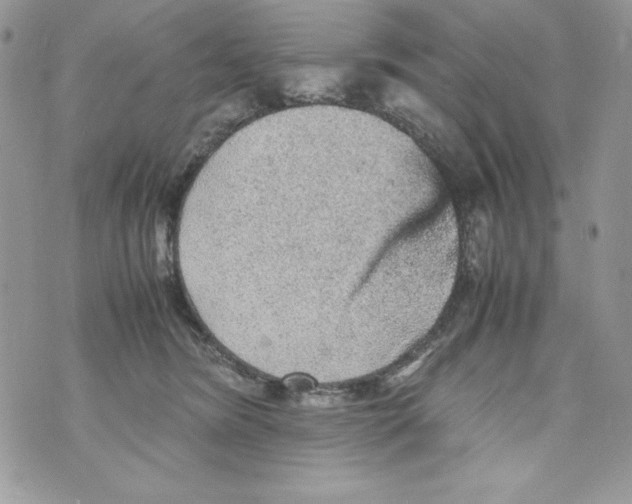 X0000070410420200607072314