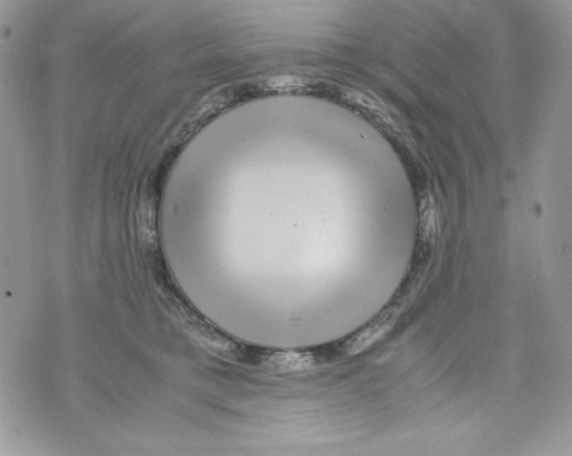 X0000070410421200607072314