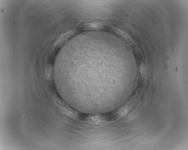 X0000070410423200607072314