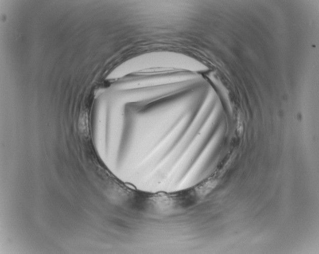 X0000070410425200607072314