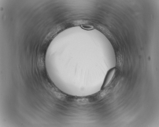 X0000070410426200607072314