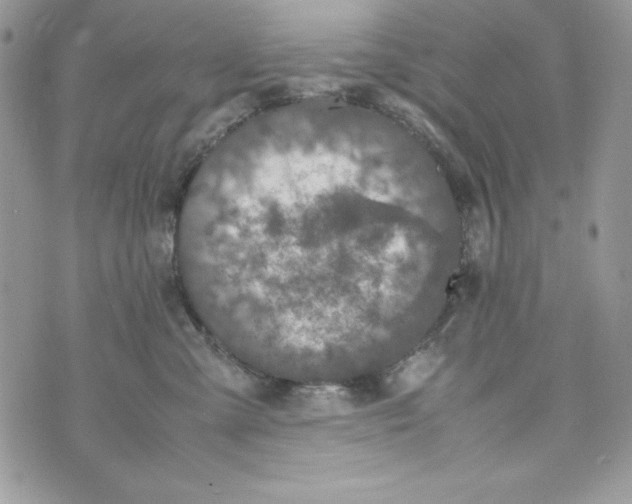 X0000070410427200607072314