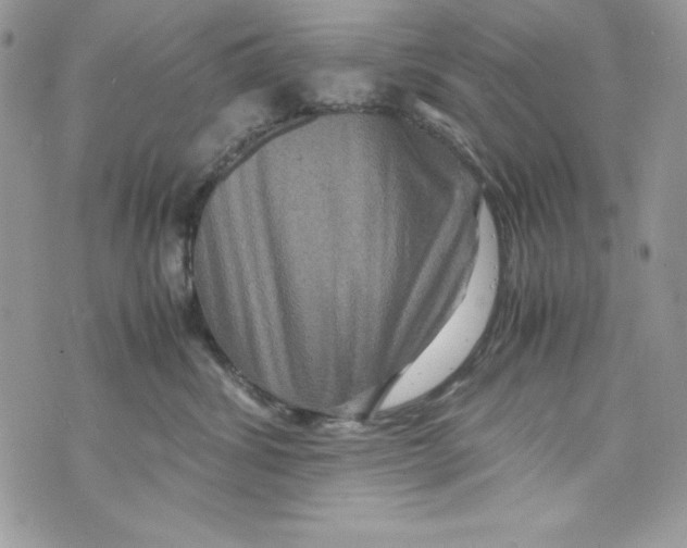 X0000070410428200607072314