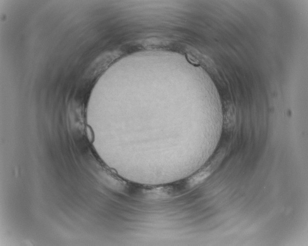 X0000070410430200607072314