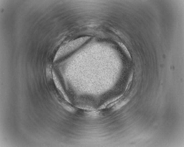 X0000070410432200607072314