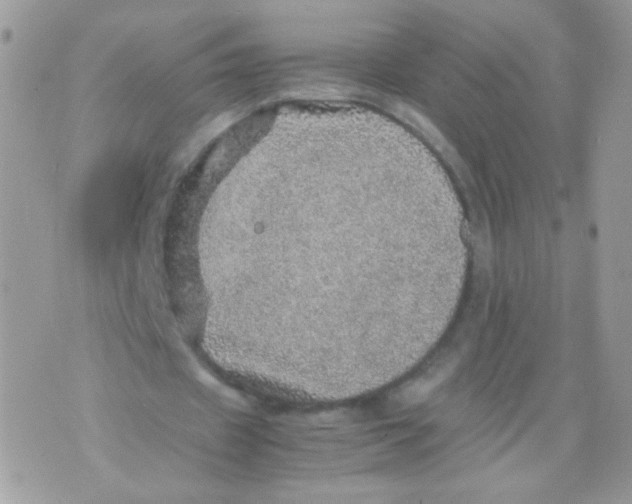 X0000070410433200607072313