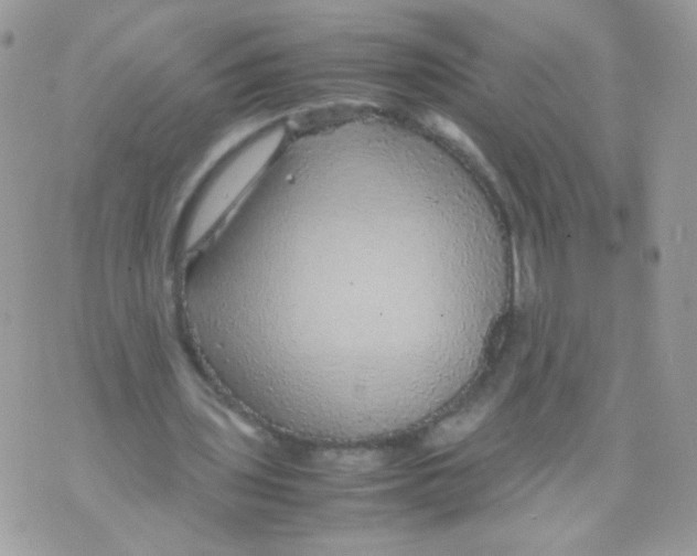 X0000070410435200607072313