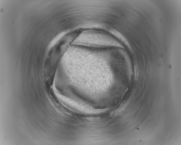 X0000070410436200607072313