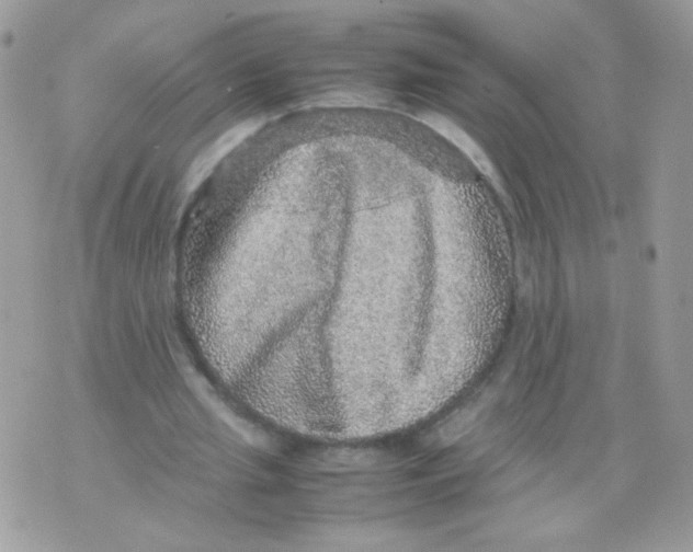 X0000070410437200607072313