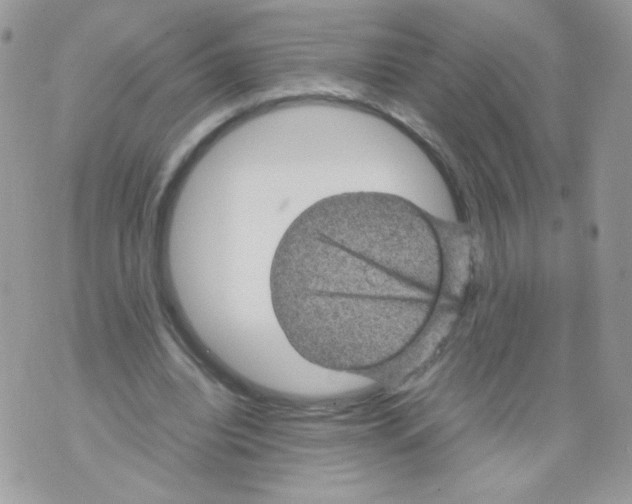 X0000070410440200607072313