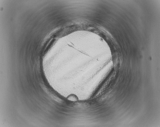 X0000070410442200607072313