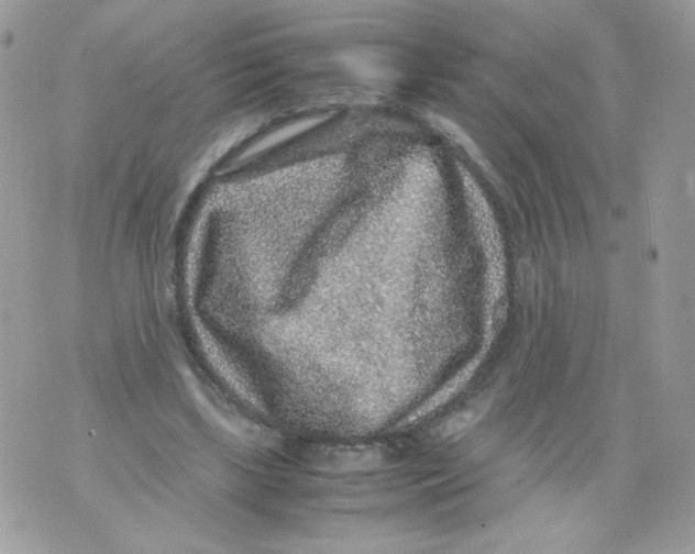 X0000070410443200607072313