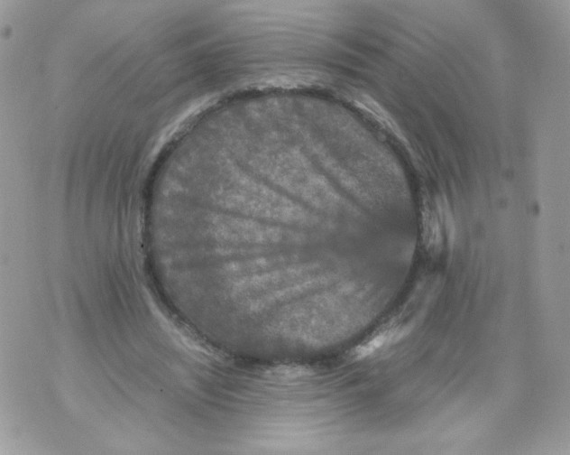 X0000070410444200607072313