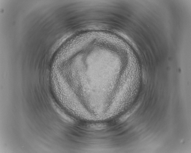 X0000070410445200607072313