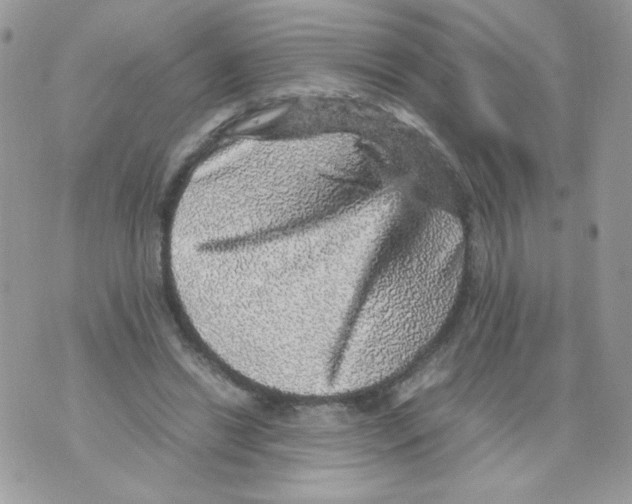 X0000070410446200607072313