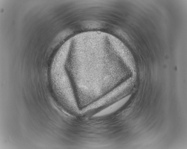 X0000070410447200607072313