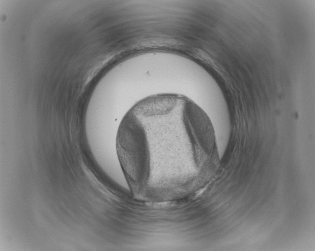 X0000070410448200607072313