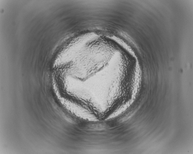 X0000070410449200607072313