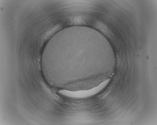 X0000070410450200607072313