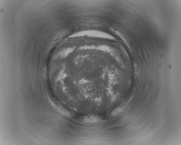 X0000070410451200607072313