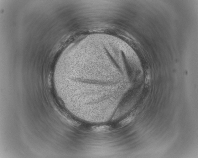 X0000070410452200607072313