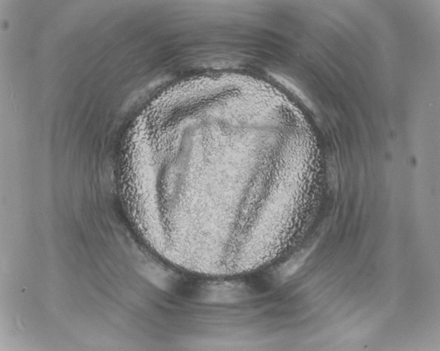 X0000070410453200607072313