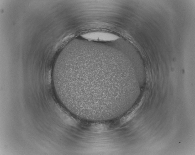 X0000070410454200607072313