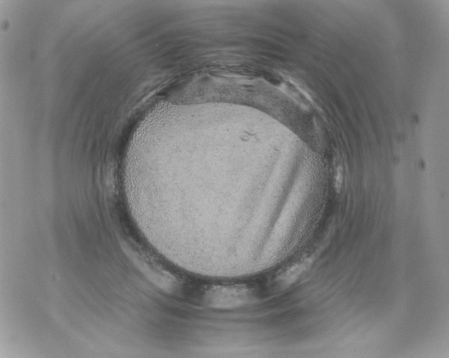 X0000070410455200607072313