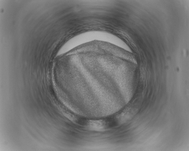 X0000070410457200607072313